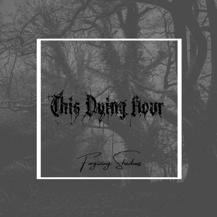 THIS DYING HOUR - Forgiving Shadows cover 
