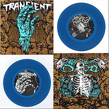 THIS RUNS ON BLOOD - Transient / This Runs on Blood cover 