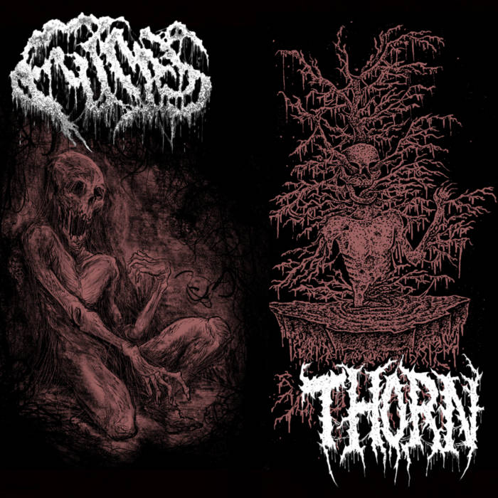 THORN (AZ) - Fumes / Thorn cover 