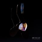 400 THE CAT Stf Helix Nebula album cover