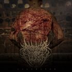 ABATED MASS OF FLESH Lacerated album cover