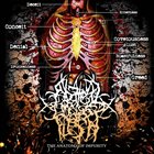 ABATED MASS OF FLESH The Anatomy Of Impurity album cover