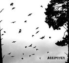 ACCIPITER Accipiter album cover
