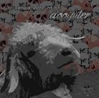 ACCIPITER The Human Sheep Rodeo album cover