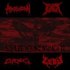 AFTERSUNDOWN Split Your Mind II album cover