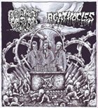 AGATHOCLES Agathocles / Porket Grinder album cover