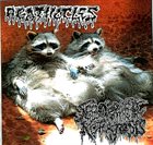 AGATHOCLES Agathocles / Seborrheic Keratosis album cover