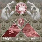 ALEPH NULL Nocturnal album cover