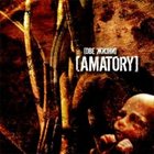 AMATORY Две жизни (Two Lives) album cover