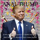 ANAL TRUMP If You Wanted To Qualify For Health Insurance, Then Maybe You Shouldn't Have Gotten Raped? album cover