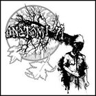 ANATOMI-71 Anatomi-71 / Radioskugga album cover