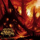 ANATOMY OF A CREATION Xenoform album cover