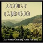 ANIMAE CAPRONII A Solemn Chanting Arise for You album cover
