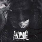 ANIMAL (NY) Instinct album cover