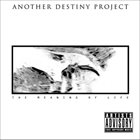 ANOTHER DESTINY PROJECT The Meaning of Life album cover