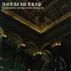 ANTACID TRIP Slaughter In The Name Of Greed album cover