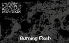AORTIC DILATATION Burning Flesh album cover