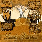 ARSCHLOCH DER DAS Lovely Diarrhea album cover