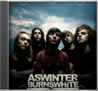 AS WINTER BURNS WHITE Demo 2008 album cover