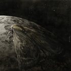 AUGRIMMER Moth and the Moon album cover