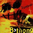 B-THONG Damage album cover