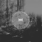 BAIT Sunburst album cover