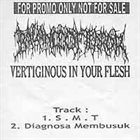 BALANCE OF TERROR Vertiginous In Your Flesh album cover