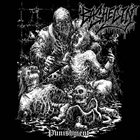 BASHED IN Punishment album cover