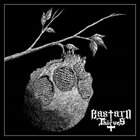 BASTARD THIEVES Bastard Thieves album cover