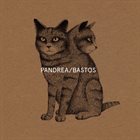 BASTOS Pandrea / Bastos album cover