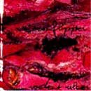 BEANFLIPPER Rodent Ulcer album cover