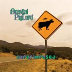 BEASTIAL PIGLORD Superimposed album cover