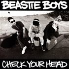BEASTIE BOYS Check Your Head album cover