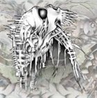 BEHOLD... THE ARCTOPUS Nano-Nucleonic Cyborg Summoning album cover