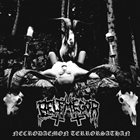 BELPHEGOR — Necrodaemon Terrorsathan album cover