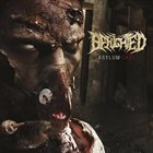 BENIGHTED — Asylum Cave album cover
