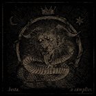 BESTA Besta / O Cúmplice album cover