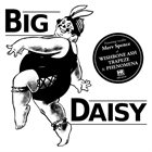 BIG DAISY Big Daisy album cover