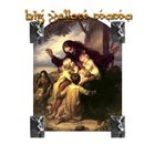 BIG YELLOW MAMA Big Yellow Mama album cover