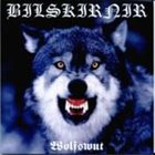 BILSKIRNIR Wolfswut album cover