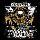 BIRDFLESH Birdflesh / Organ Dealer album cover