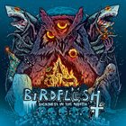 BIRDFLESH Sickness in the North album cover