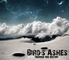 BIRD'S ASHES Through Our Destiny album cover