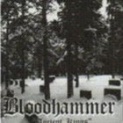 BLOODHAMMER Ancient Kings album cover