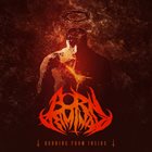 BORN CRIMINAL Burning From Inside album cover