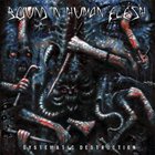 BOUND IN HUMAN FLESH Systematic Destruction album cover