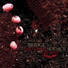 BRIDGE TO SOLACE Kingdom of the Dead album cover