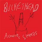 BUCKETHEAD Acoustic Shards album cover