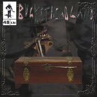 BUCKETHEAD Pike 48 - Hide in the Pickling Jar album cover
