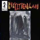 BUCKETHEAD Pike 293 - Oven Mitts album cover
